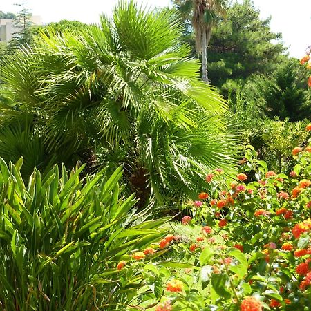 Hotel La Pinede Ajaccio  Exterior photo